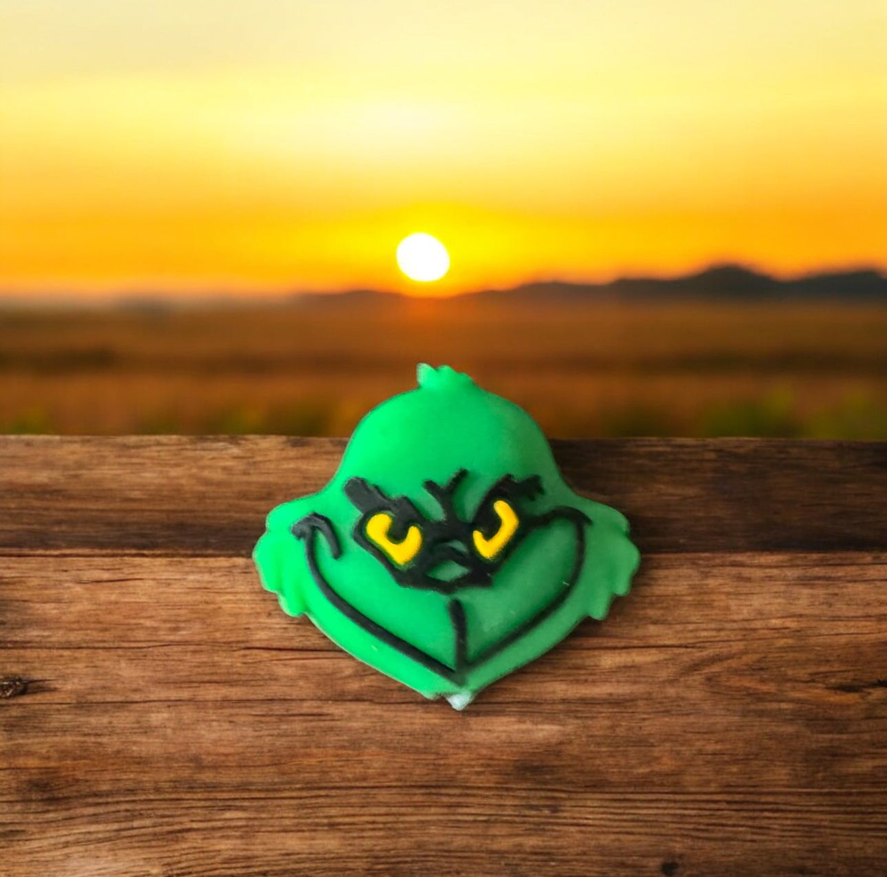 3D SILICONE FOCAL- Grinch-4-3D Options
