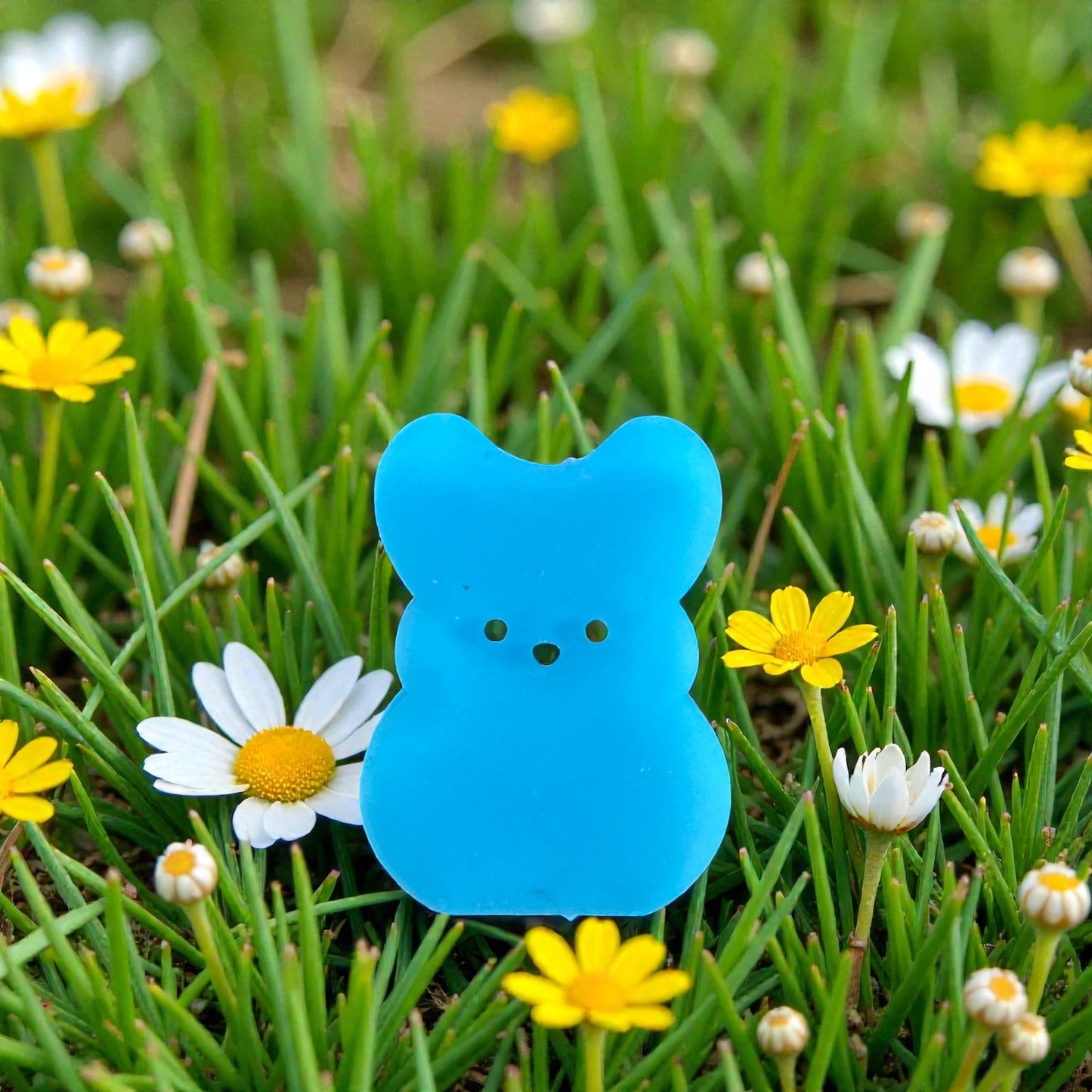 SILICONE FOCAL- spring Easter Peeps