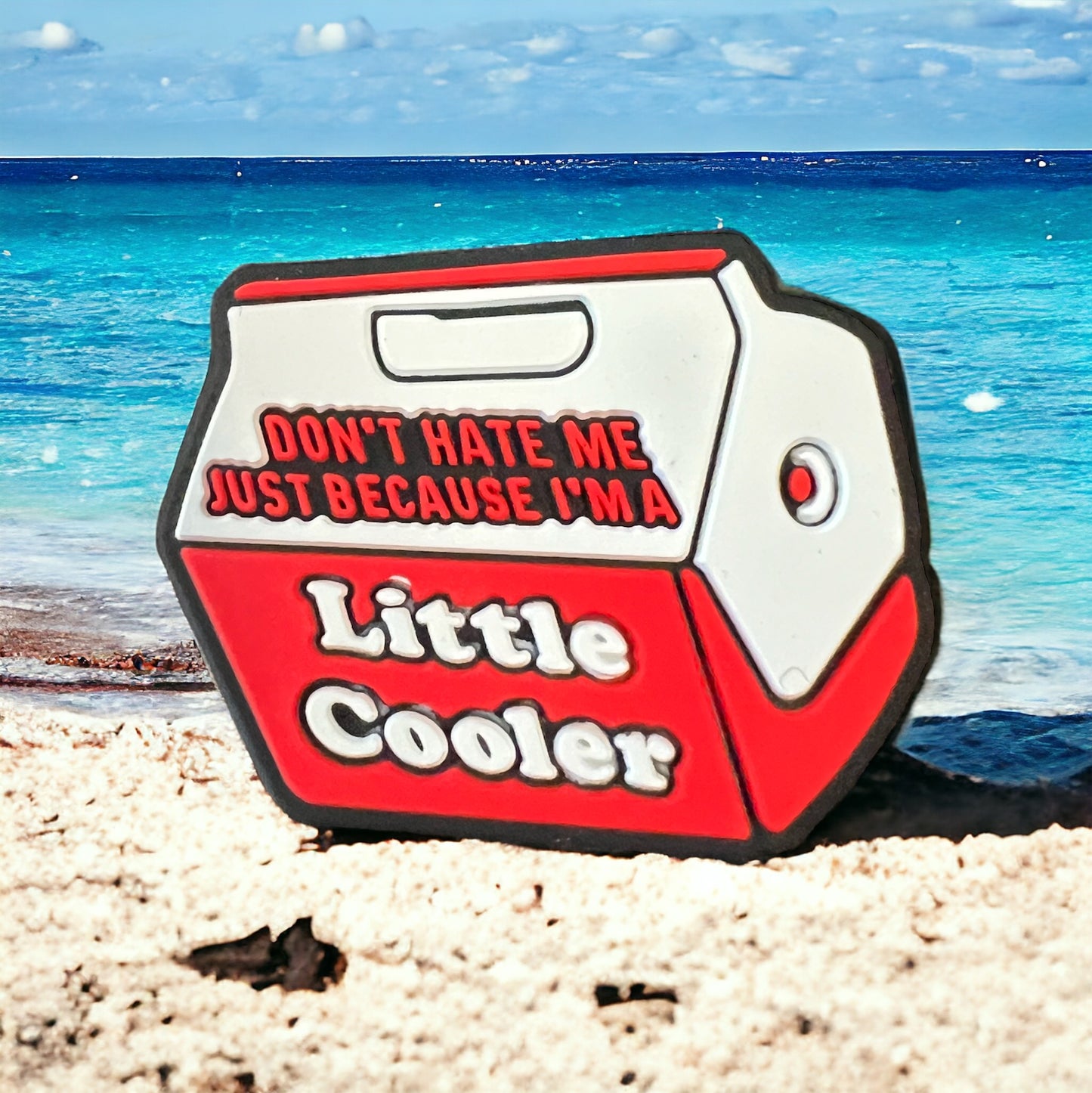 SILICONE FOCAL- LITTLE COOLER (Don’t Hate Me Because I’m a)