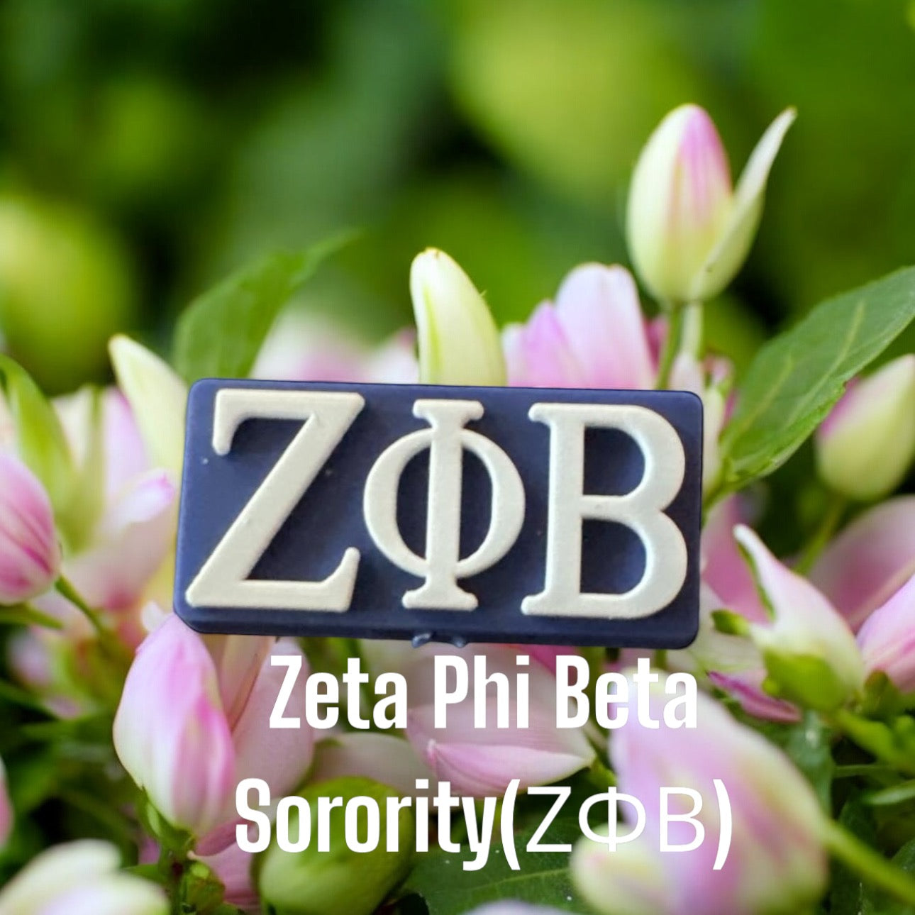 SILICONE FOCAL- Sorority (7 Options)