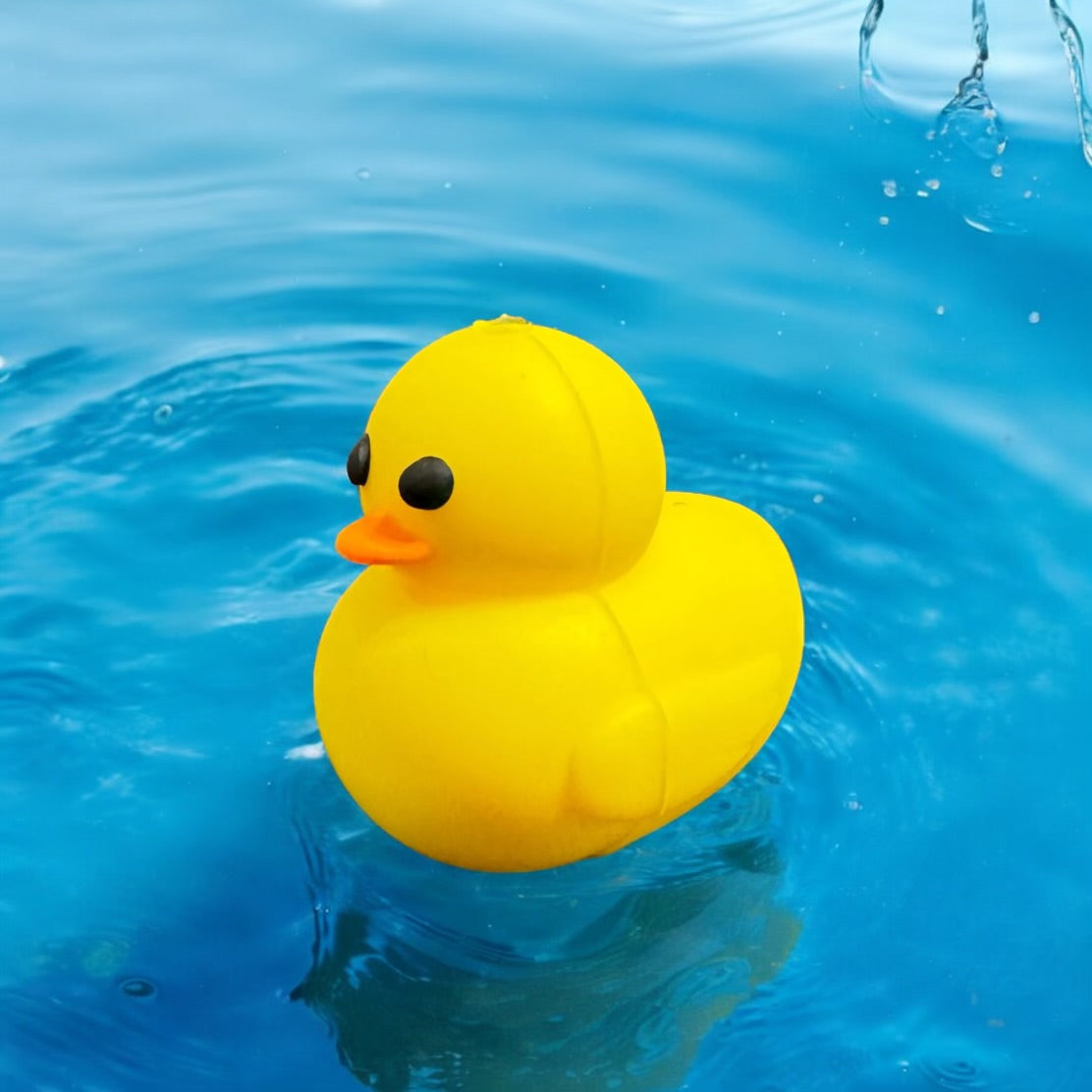 3D SILICONE FOCAL- BATH TUB (Tub only-Duck /pen sold separately)