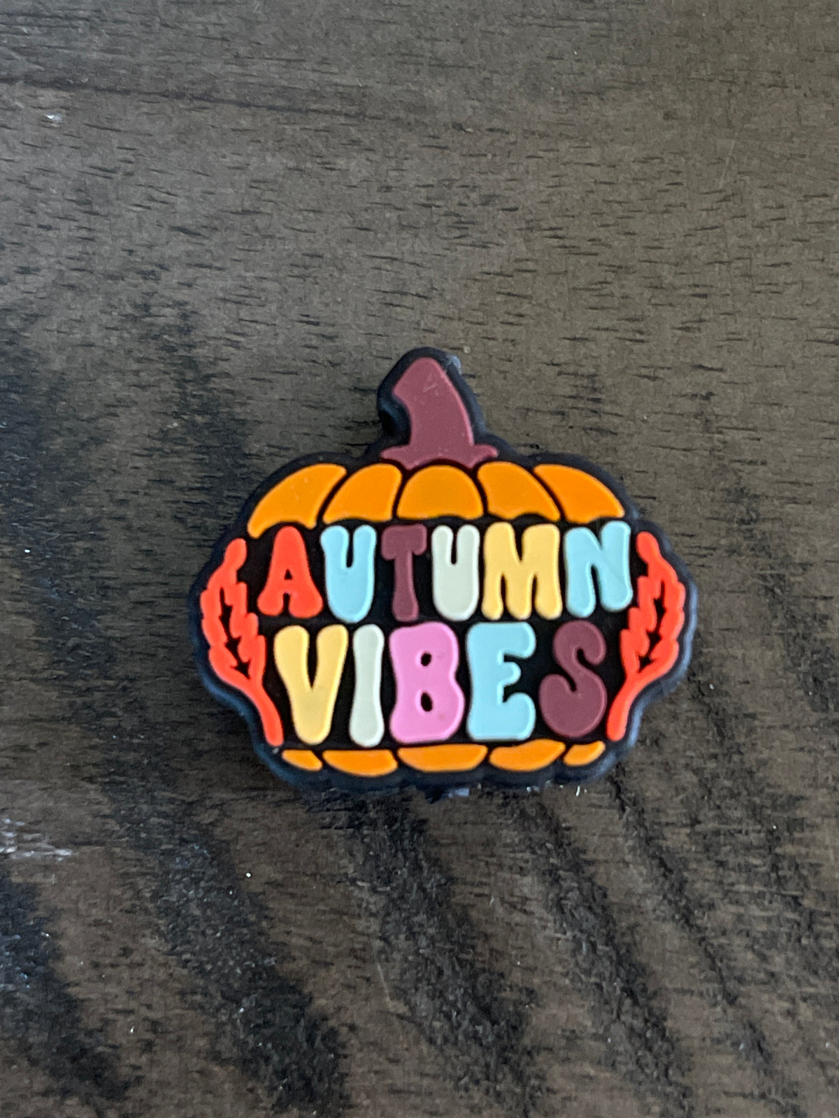 SILICONE FOCAL- Autumn Vibes, Fall Pumpkins (6 options)