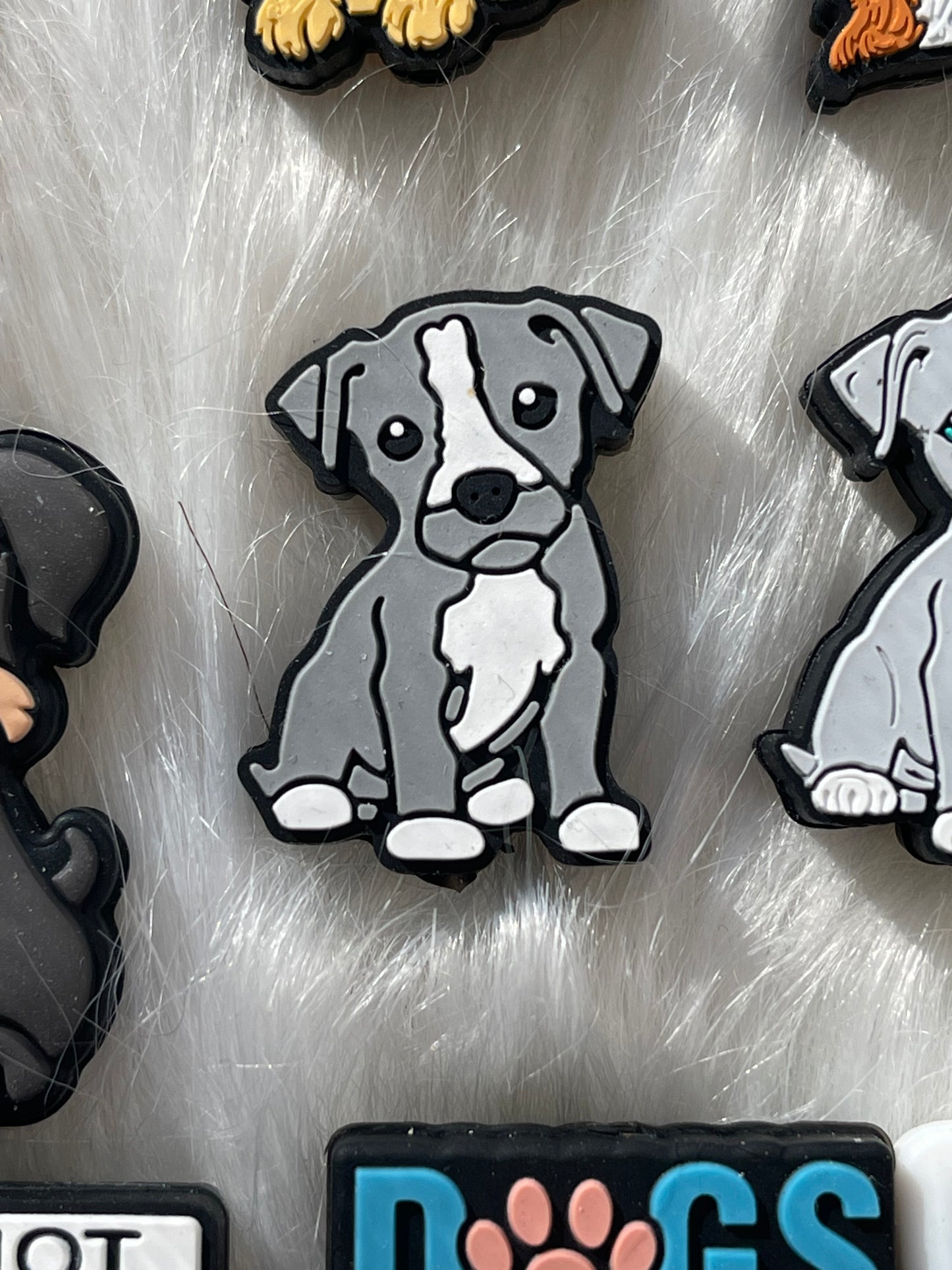 SILICONE FOCAL- Dog Theme (43 Options & Discount Scoops)