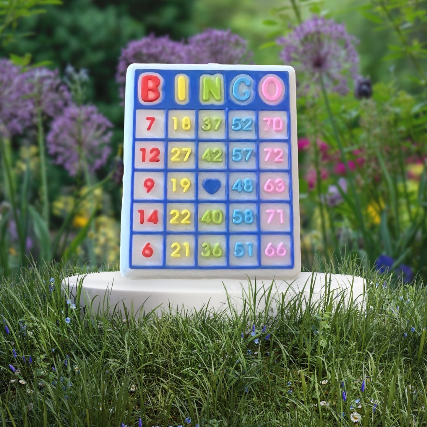 SILICONE FOCAL- Bingo (2 Options)