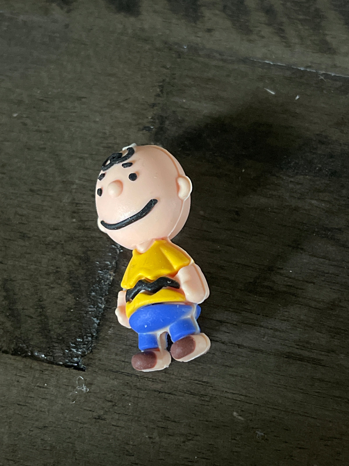 SILICONE FOCAL- Peanuts Characters Snoopy- 4 Options