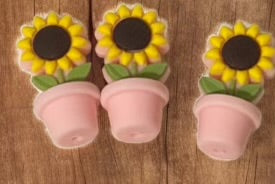 SILICONE FOCAL - MINI Flowers in a Pot (6 options)