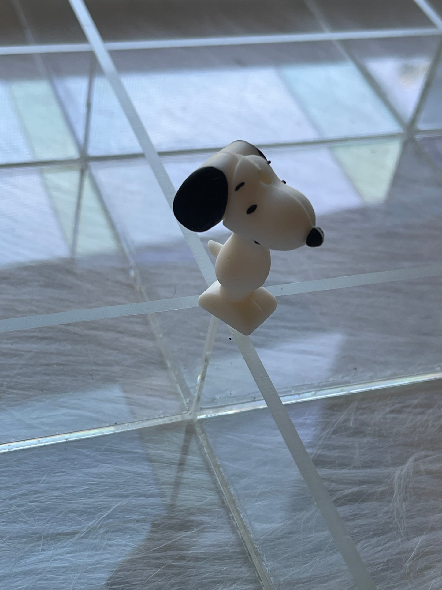 SILICONE FOCAL- Peanuts Characters Snoopy- 2 Options