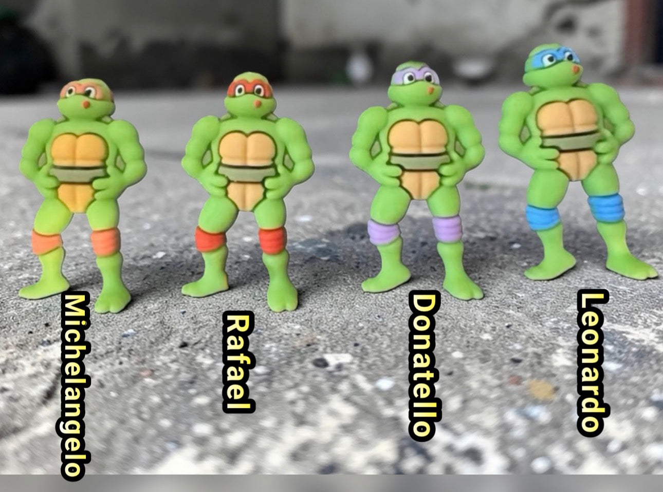 SILICONE FOCAL- 3D TMNT Turtle