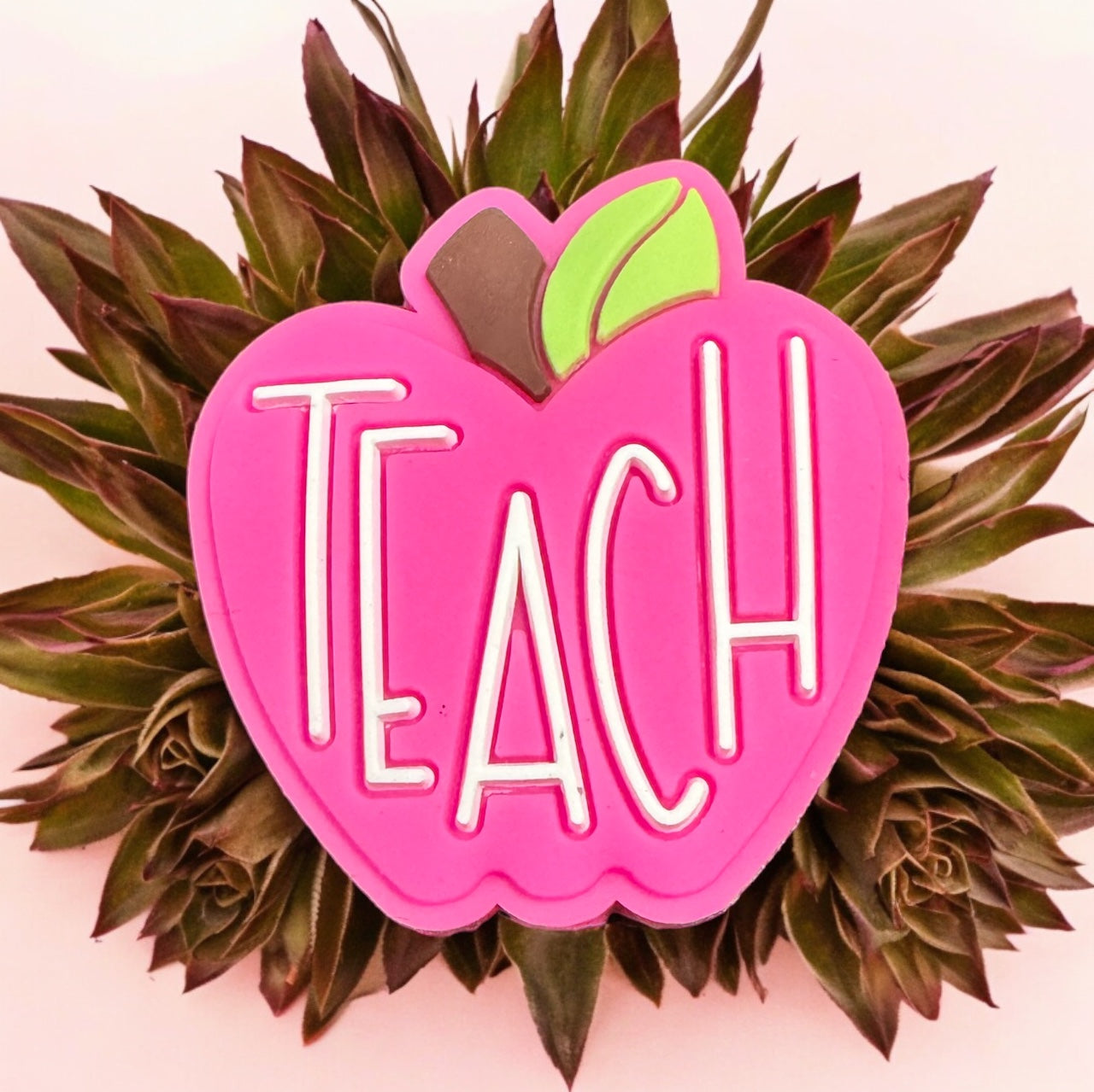 SILICONE FOCALS- SCHOOL TEACHER Theme (26 OPTIONS & Discount Scoops)